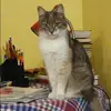 Отзыв от Валентина Лосева